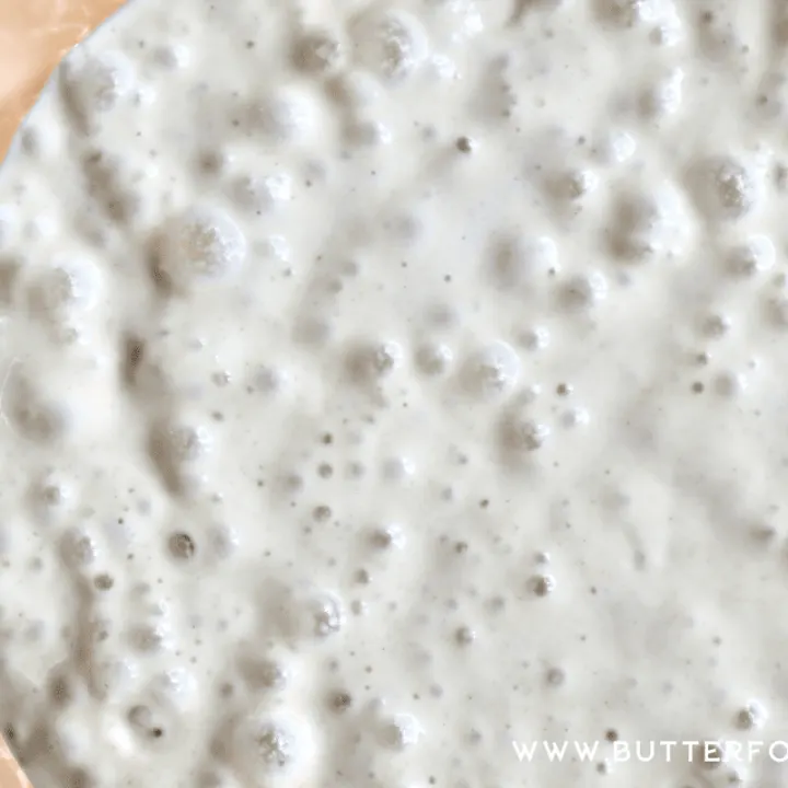 Bubbly einkorn sourdough