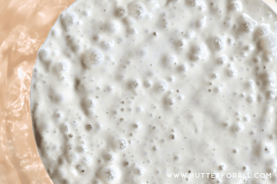 Bubbly einkorn sourdough