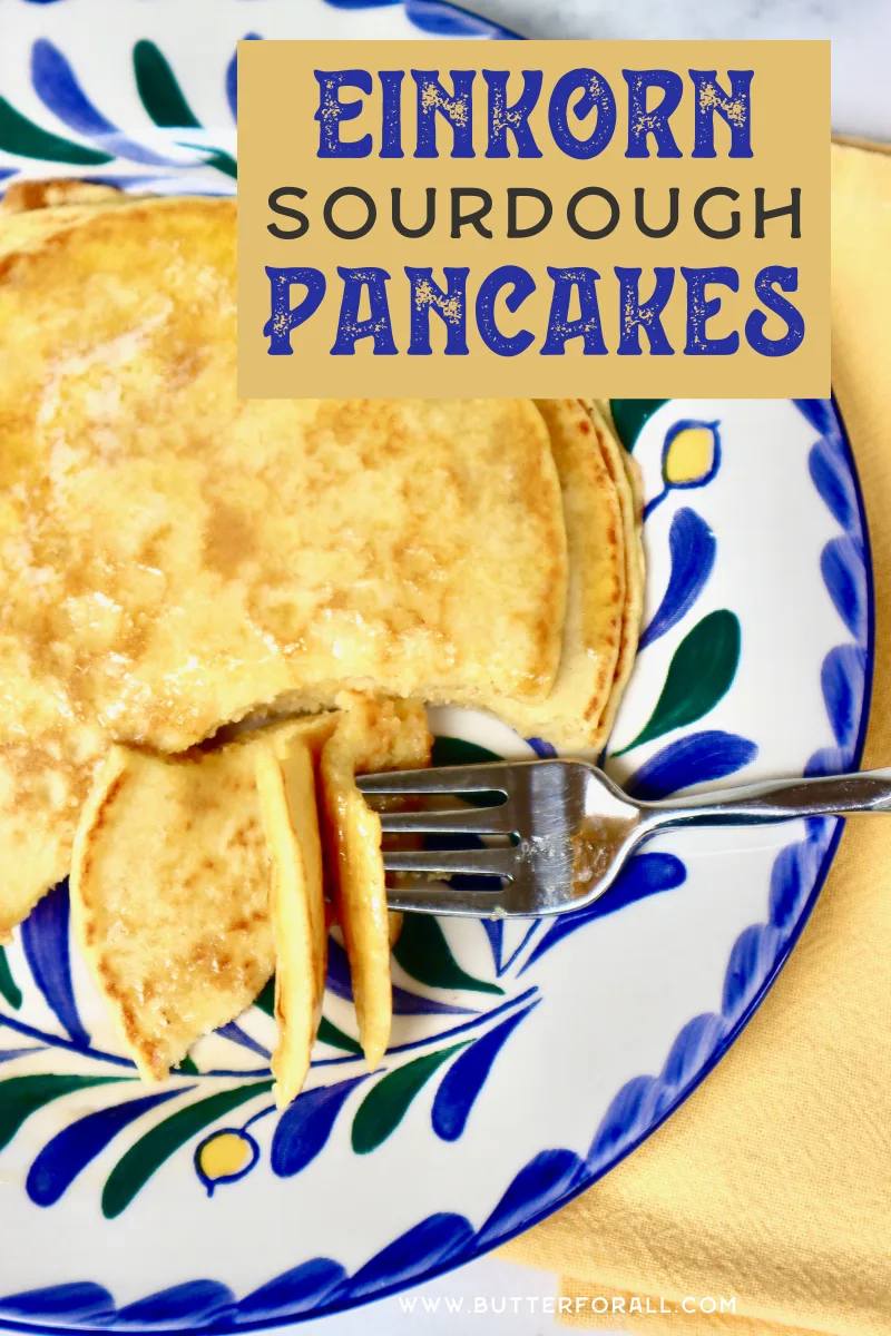 Tender einkorn pancakes cut with a fork.