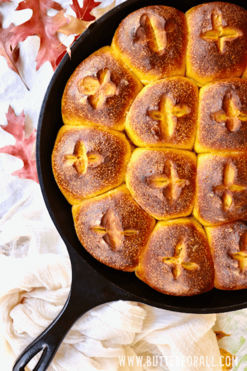 RECIPE  Pumpkin and Chocolate Sourdough Loaf baked in Lodge Cast Iron Loaf  Pan — Artisan Bryan