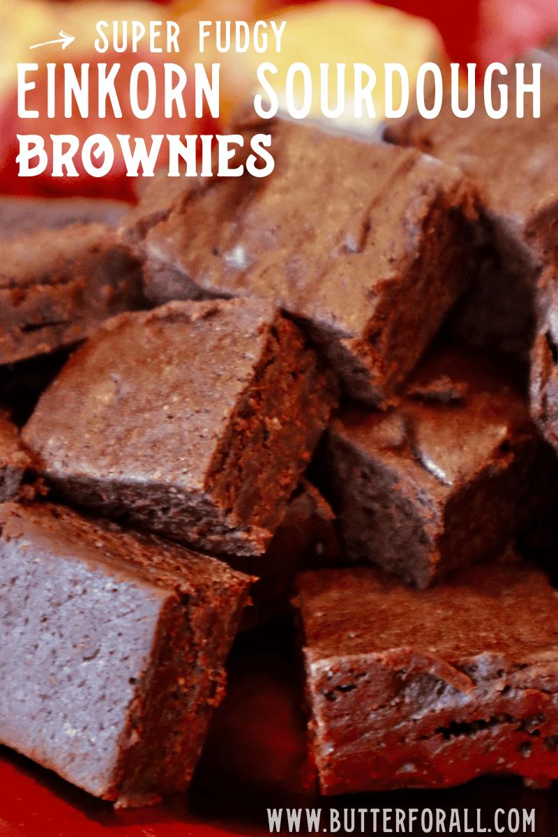 Einkorn Sourdough Brownies • Butter For All