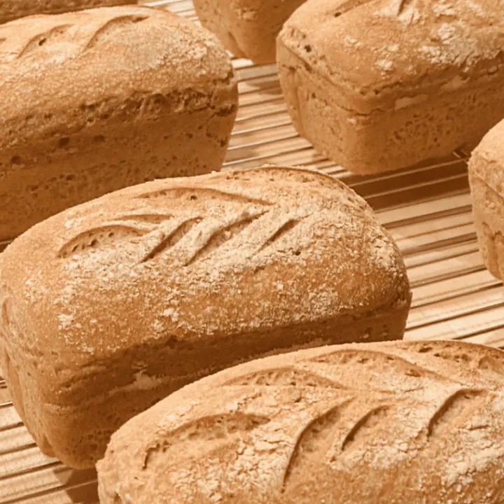 Small golden-brown loaves of einkorn bread cooling on baking racks.