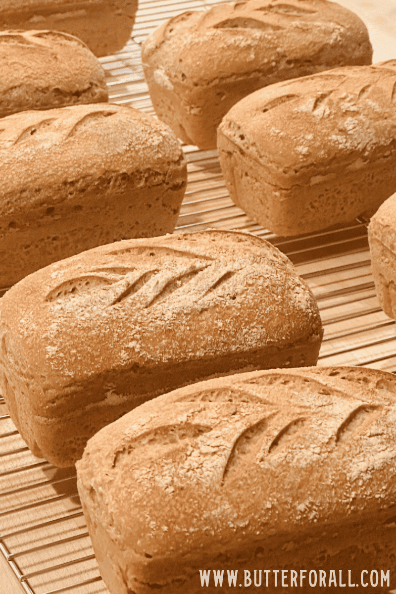 Small golden brown loaves of einkorn bread cooling on baking racks. 