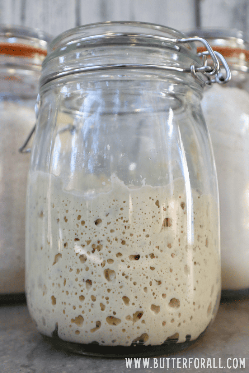 A jar of einkorn sourdough starter.