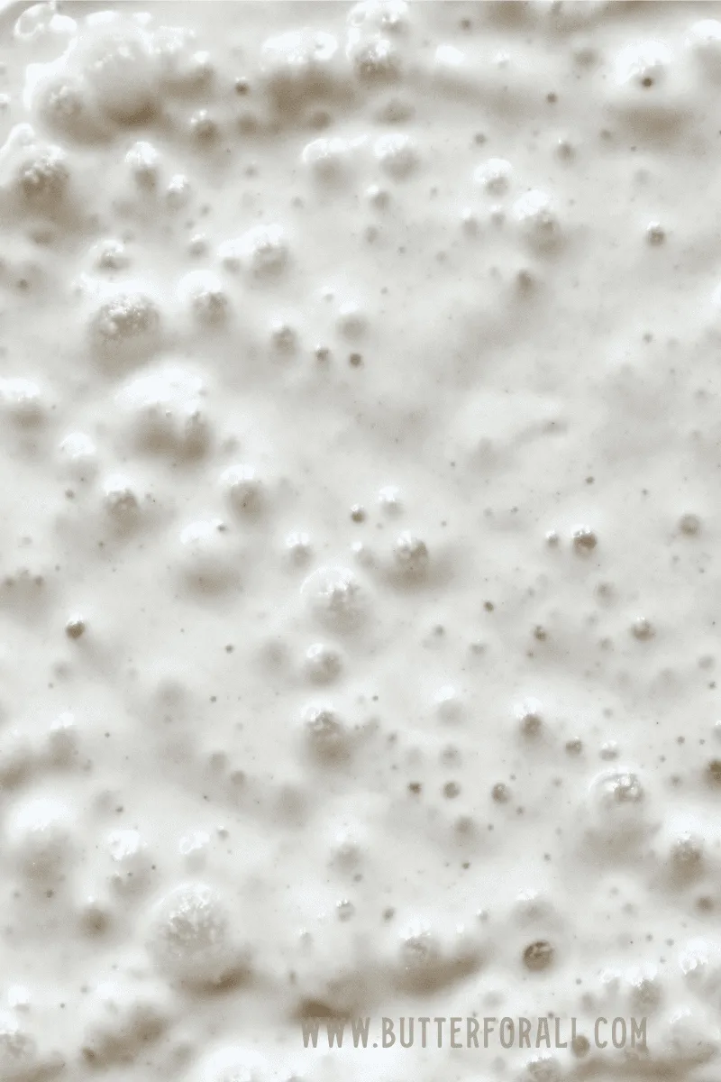An up-close shot of bubbly einkorn sourdough starter.
