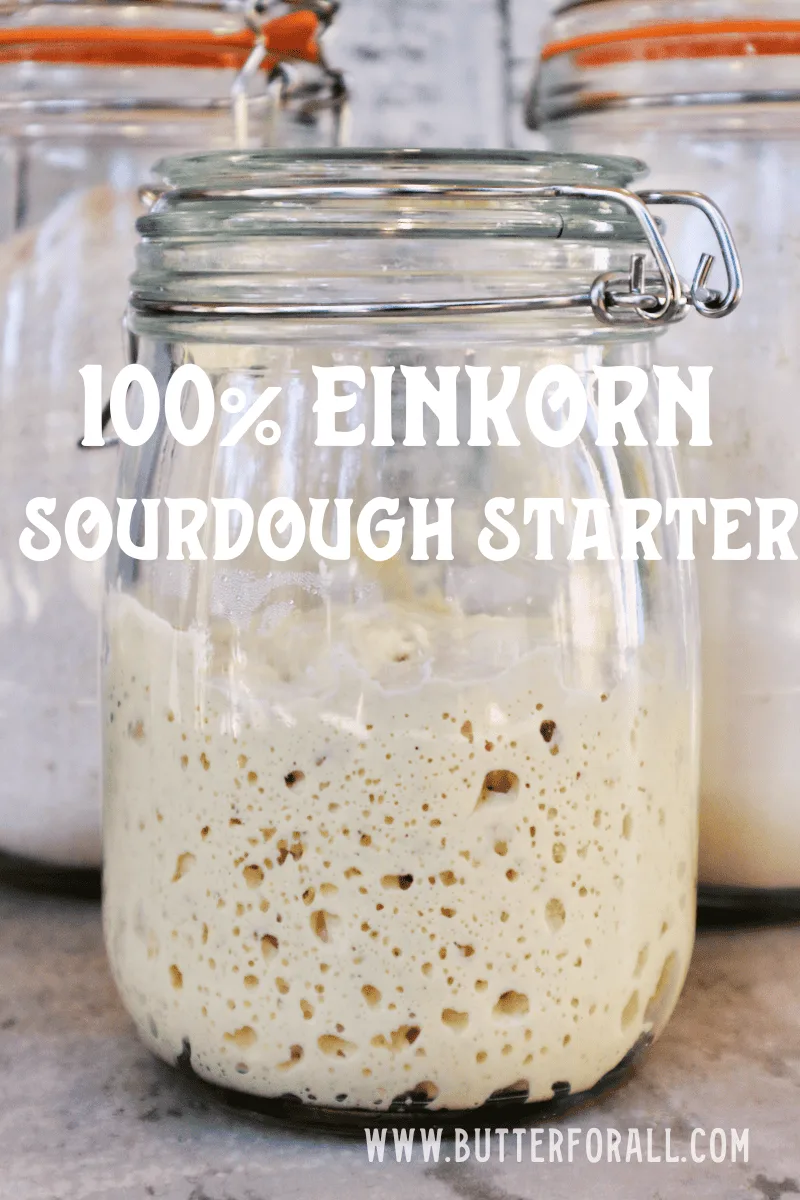 A bubbly jar of active sourdough starter with a text overlay.
