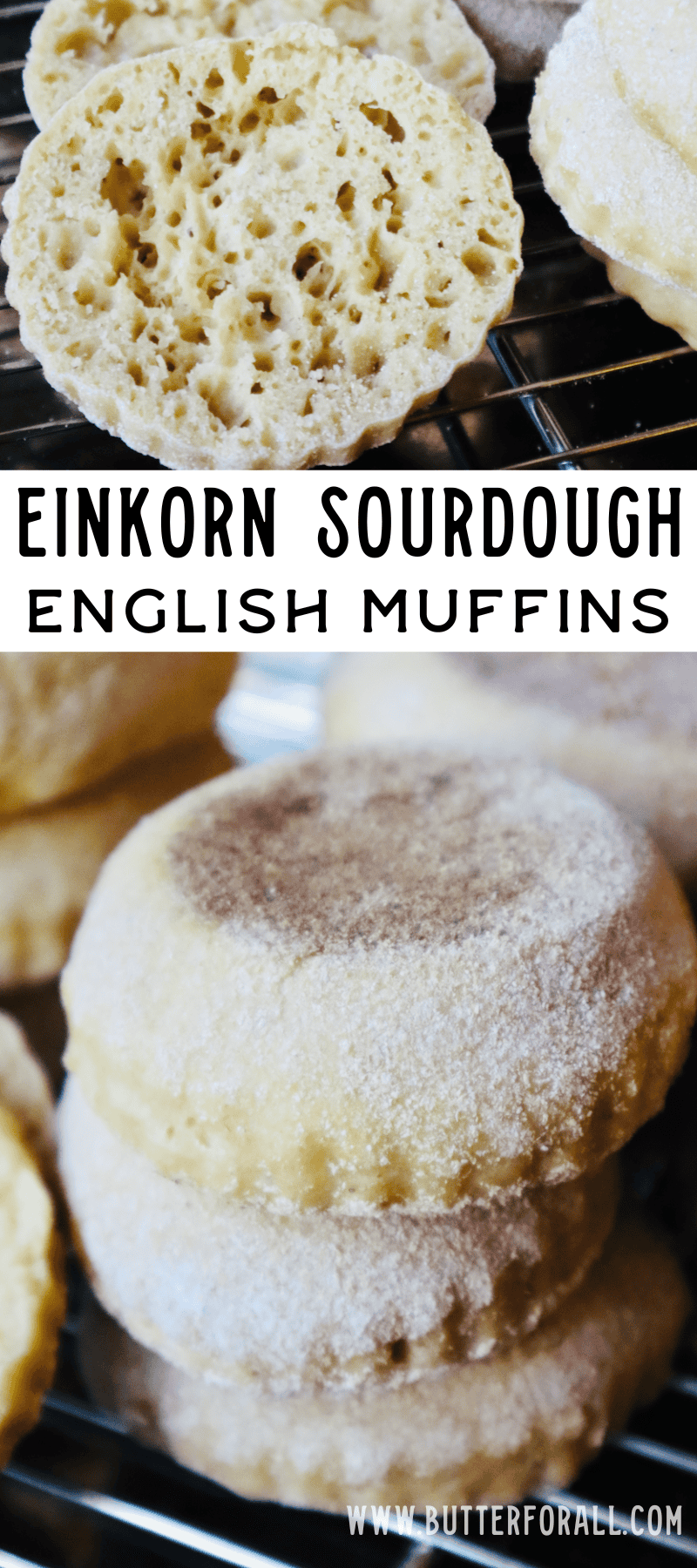 Golden brown einkorn English muffins with text overlay.