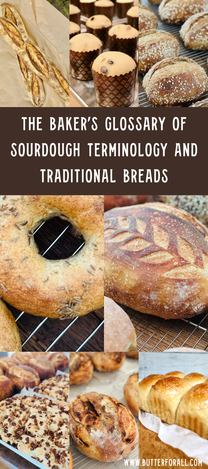 Collage of different sourdough bread styles. 