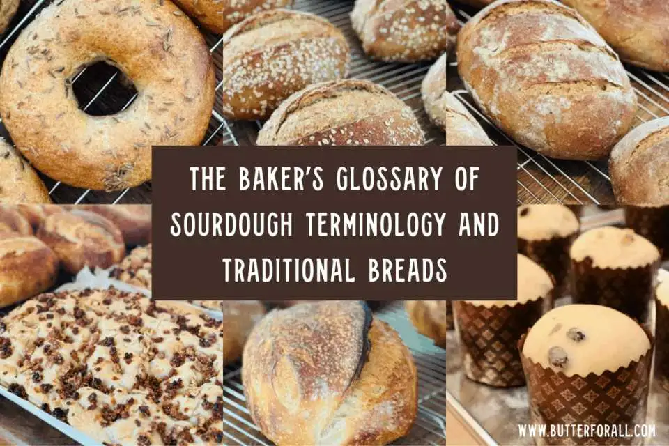 Collage of golden sourdough breads
