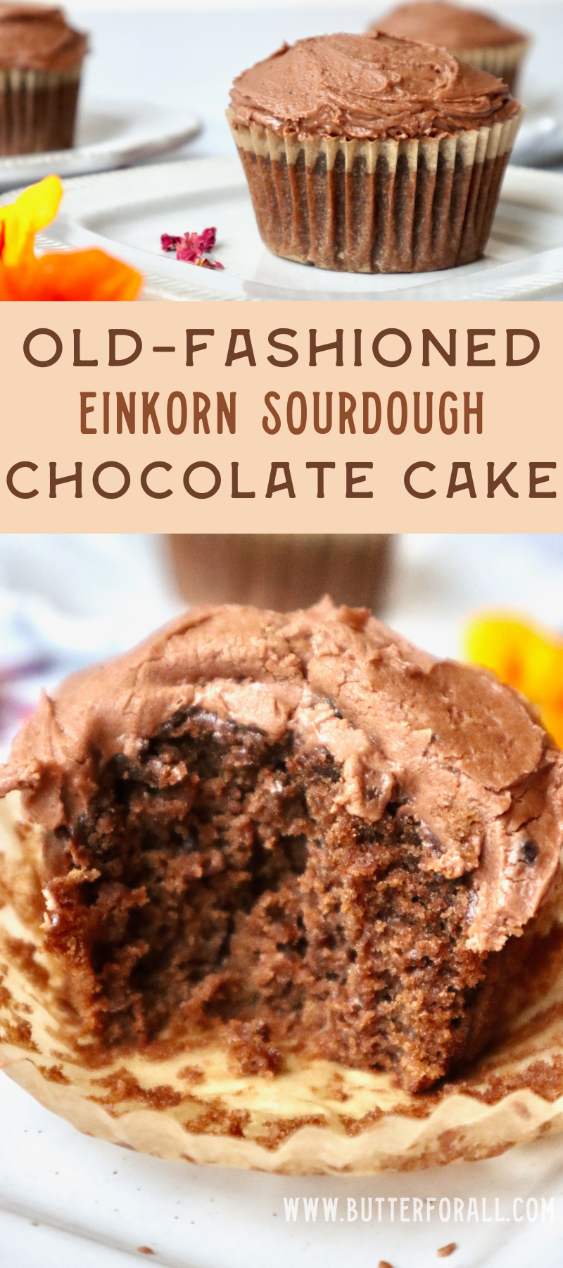 Large collage image of chocolate, einkorn, sourdough cupcakes. One has a bite out of it, revealing the tender chocolate crumb inside.