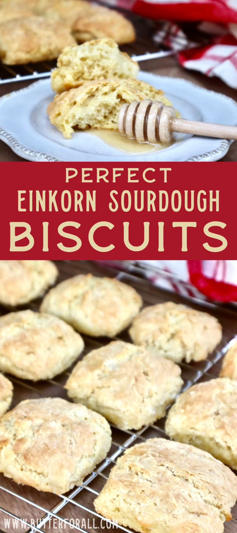 A collage photo showing golden brown biscuits on a baking rack, and a broken open biscuit on a white plate, revealing beautiful flaky interior.