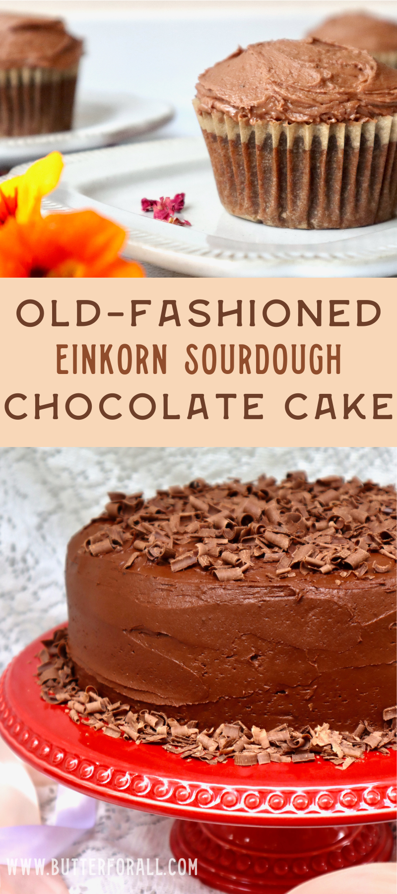 Large collage image of a chocolate cake on a cake stand and a cupcake on a plate with text overlay.