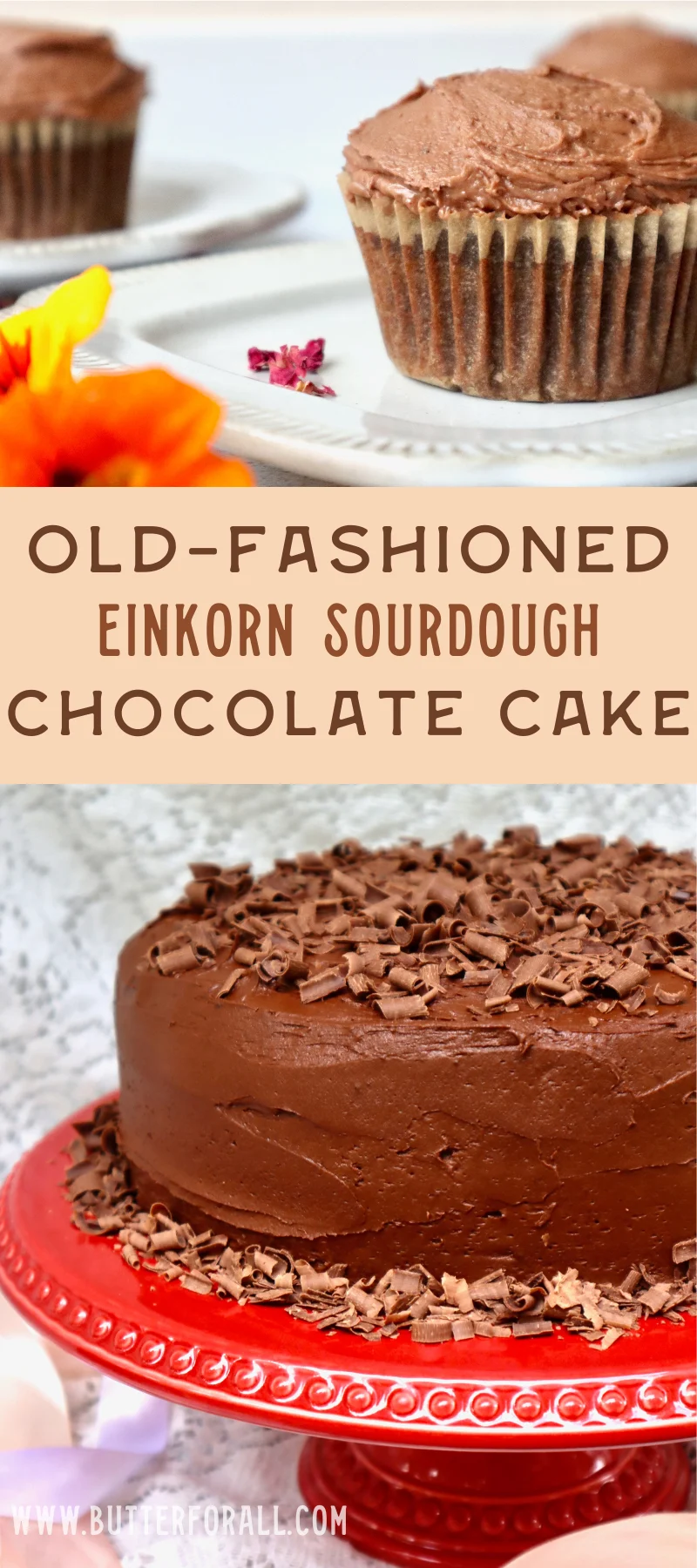 Large collage image of a chocolate cake on a cake stand and a cupcake on a plate with text overlay.