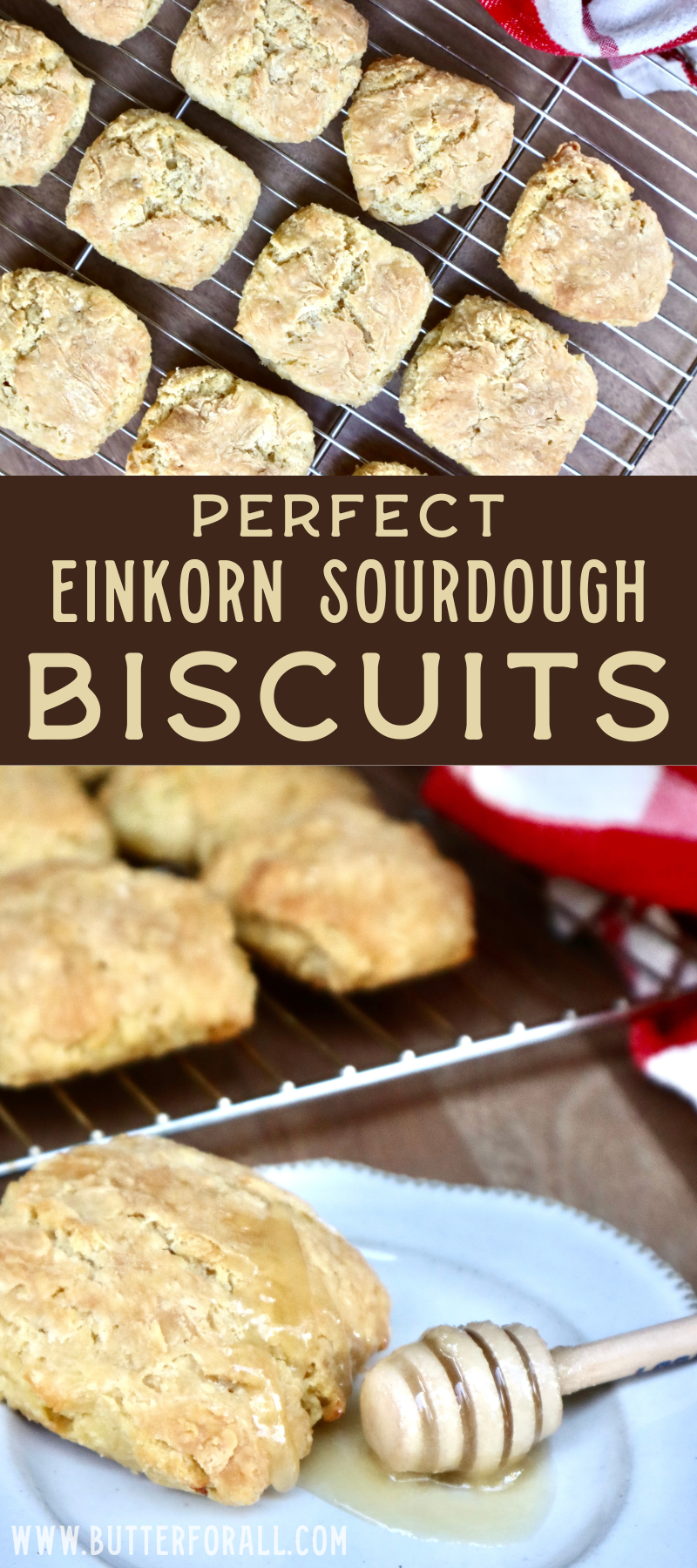 A collage of sourdough biscuits. Some cooling on a rack, others plated with a drizzle of honey.