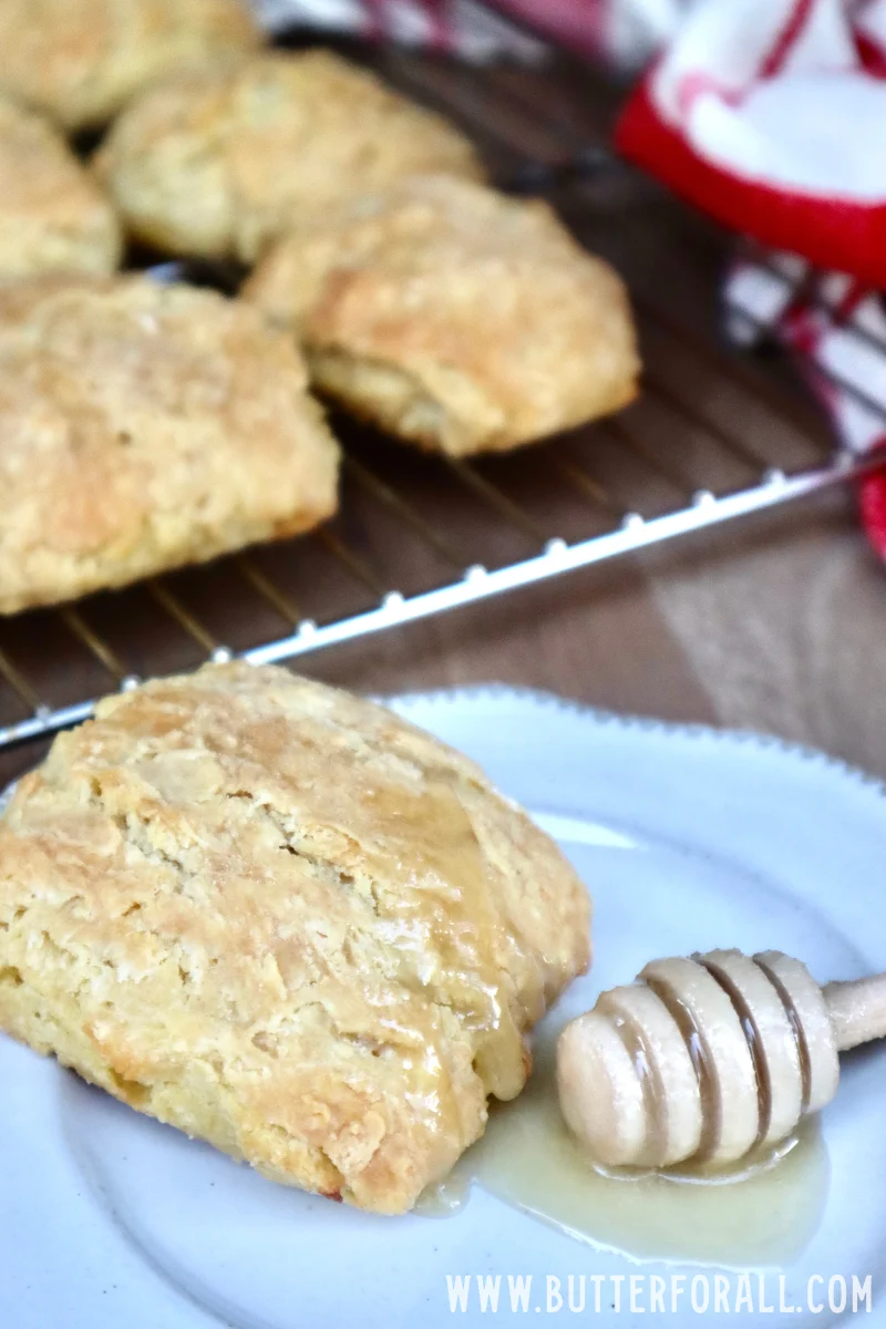 A golden brown sourdough biscuit on a white plate with a honey dipper and a little pool of golden honey.
